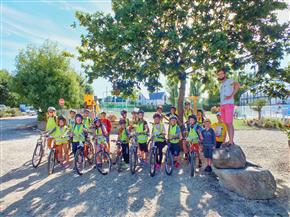 Le Camping Les Goelands, camping à Plouharnel