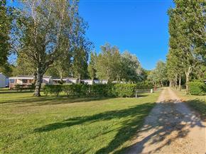 Emplacements du camping -  Le Camping Les Goelands