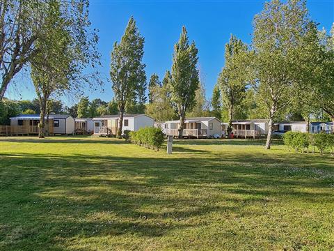 Emplacements du camping -  Le Camping Les Goelands