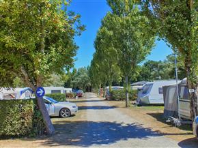 Emplacements du camping -  Le Camping Les Goelands
