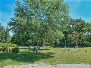 Emplacements pour Caravane à Carnac - plouharnel